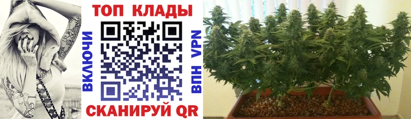 Наркошоп купить Конопля  Меф  Кудымкар
