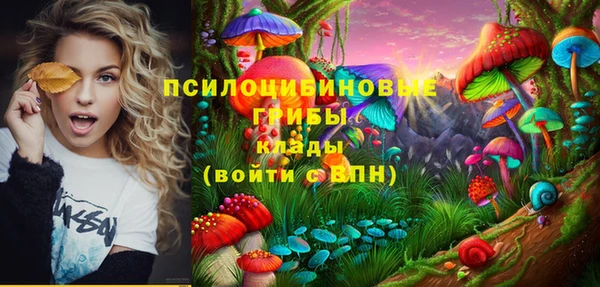 мяу мяу мука Гусь-Хрустальный