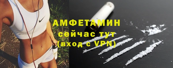 мяу мяу мука Гусь-Хрустальный