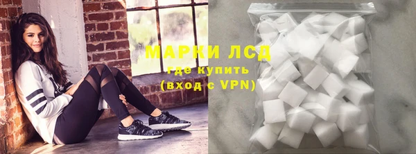 мяу мяу мука Гусь-Хрустальный