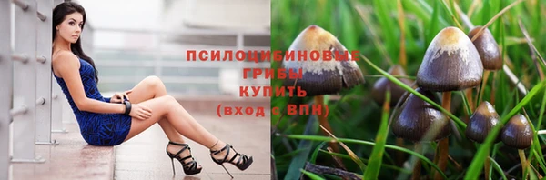 a pvp Гусиноозёрск