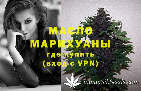 мяу мяу мука Гусь-Хрустальный