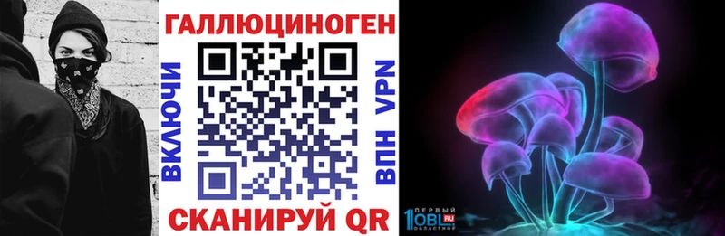 Купить закладки  Кудымкар  Псилоцибиновые грибы GOLDEN TEACHER 